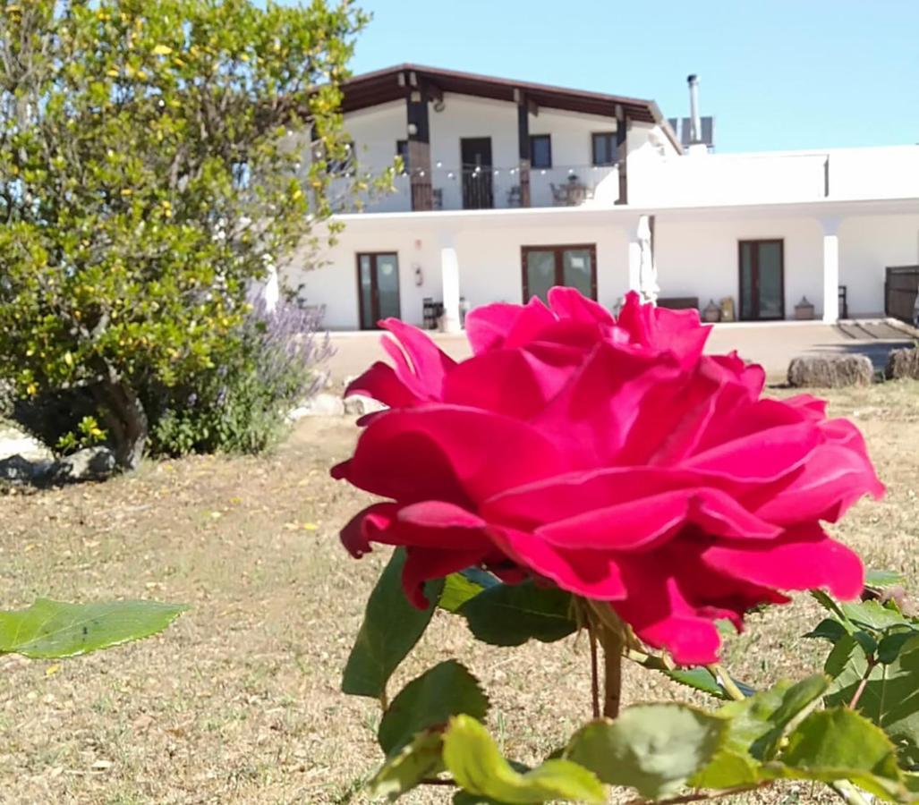 Supramurgia Agribistrot Cassano delle Murge Εξωτερικό φωτογραφία