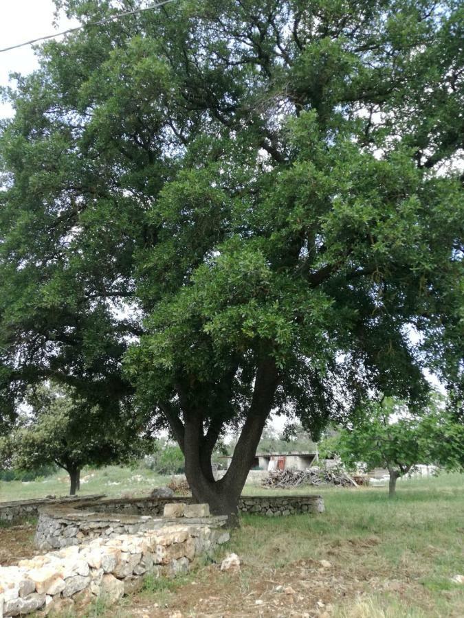 Supramurgia Agribistrot Cassano delle Murge Εξωτερικό φωτογραφία